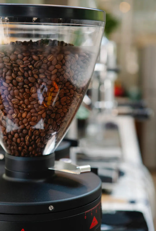 Top Coffee Grinders For Your Budget and Why?